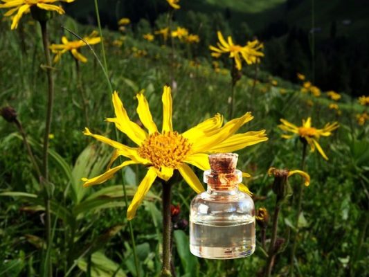 Công dụng làm đẹp của Arnica Montana Flower Extract