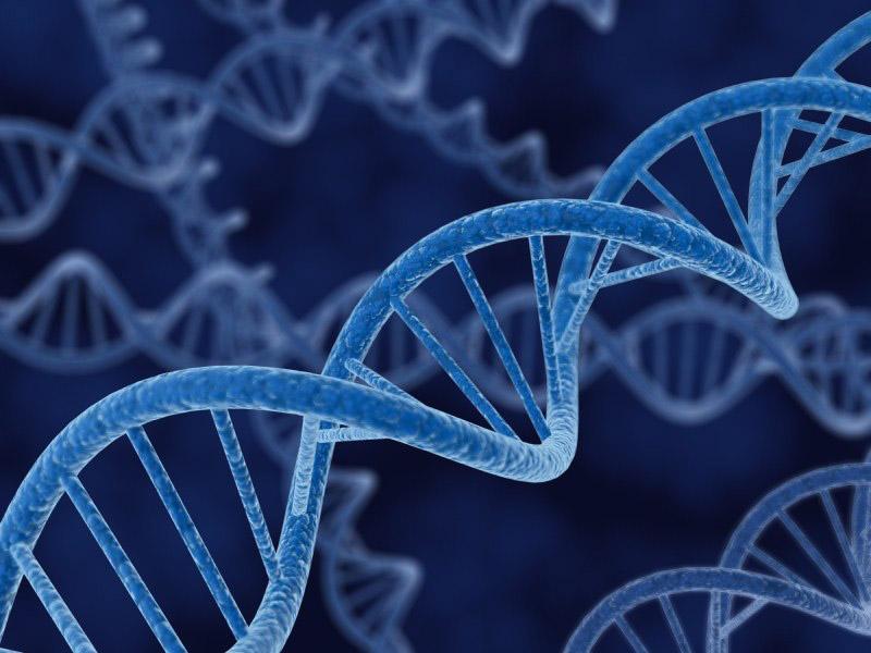 Sodium DNA là một hợp chất được chiết xuất từ DNA động vật, thường được sử dụng trong mỹ phẩm và dược phẩm