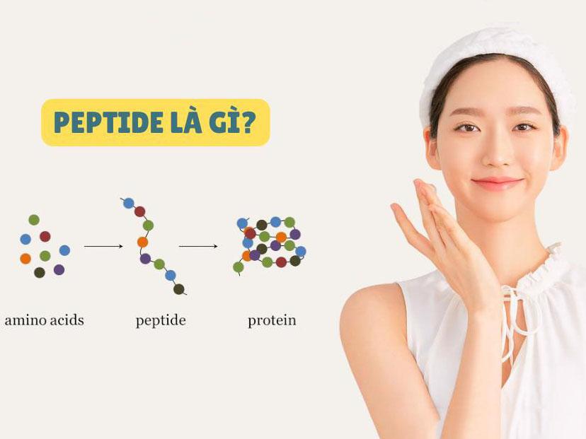 Peptide được đánh giá là một trong số những thành phần mỹ phẩm an toàn nhất