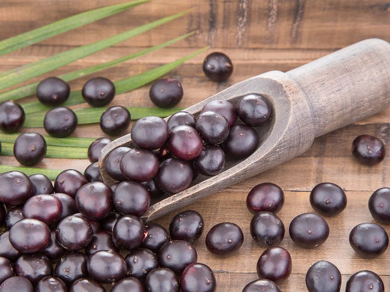 Tổng quan về Euterpe Oleracea Fruit