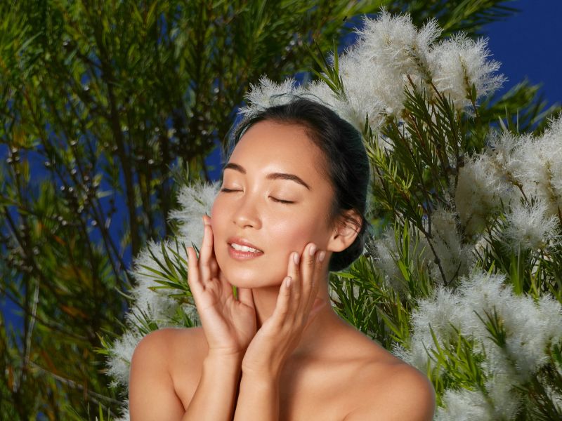 Melaleuca Alternifolia hỗ trợ làm sạch da và ngăn mụn hiệu quả