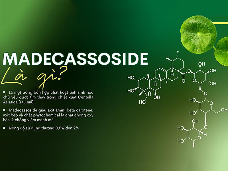 Madecassoside là hợp chất có nguồn gốc từ cây cỏ mực
