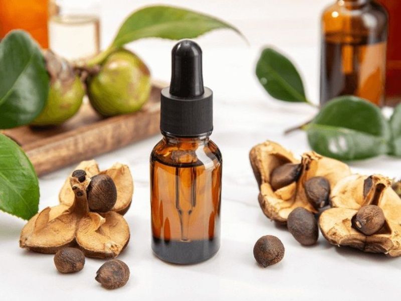 Camellia Japonica Seed Oil Là Gì?