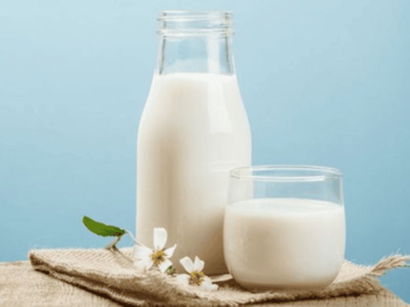Milk Protein là một nhóm protein có nguồn gốc từ sữa