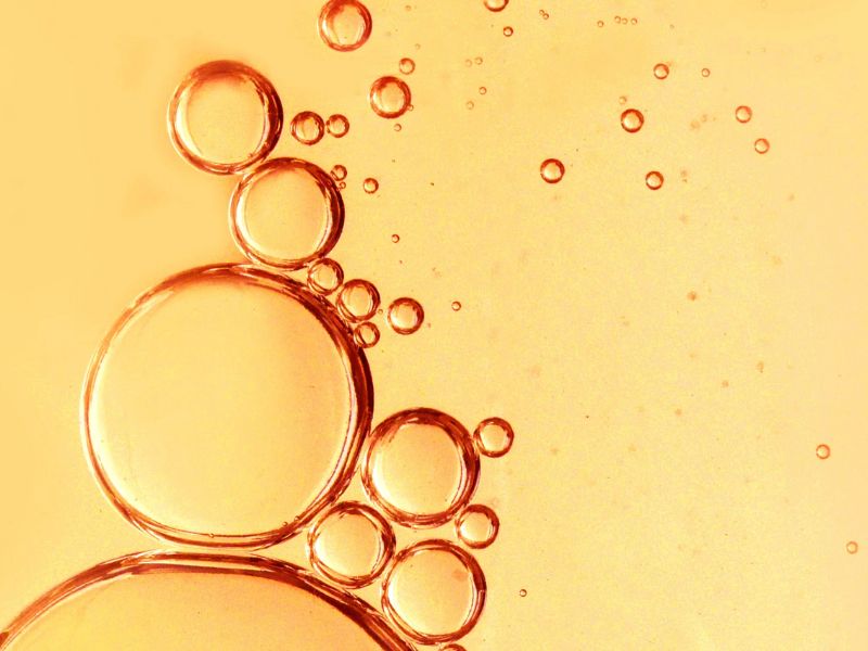 Giới thiệu tổng quan về Bifida Ferment Lysate