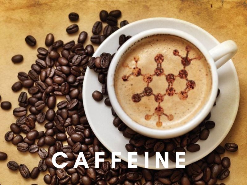 Tìm hiểu tổng quan về caffeine