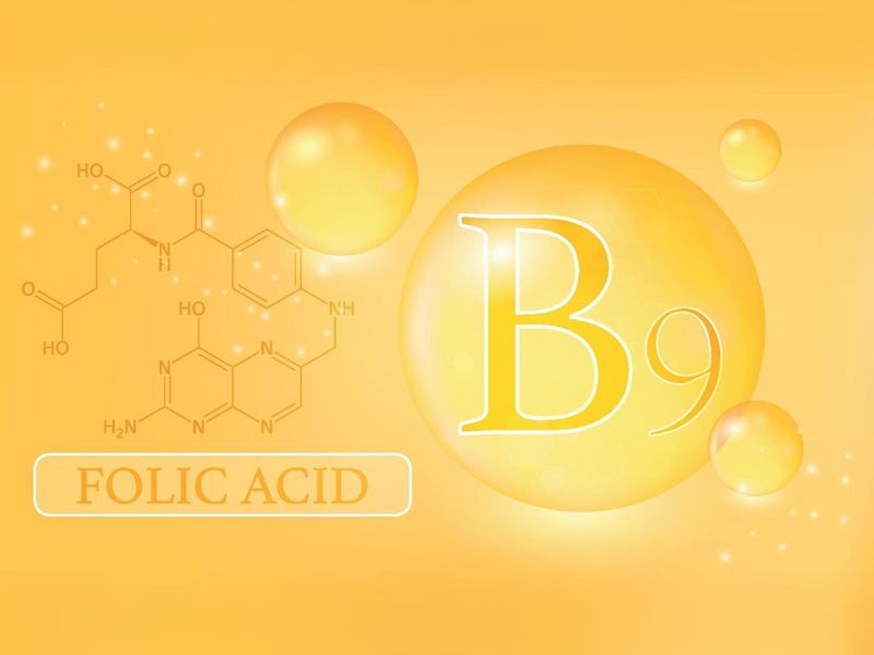 Tìm hiểu tổng quan về Vitamin B9