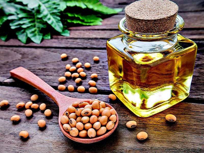 Tìm hiểu tổng quan về Glycine Soja