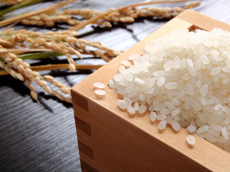 Oryza Sativa (Rice) Powder là gì?