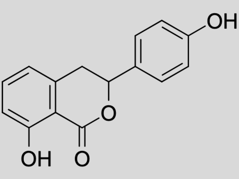 Hydrangenol chỉ xuất hiện trong một số loài thực vật thuộc chi Hydrangea