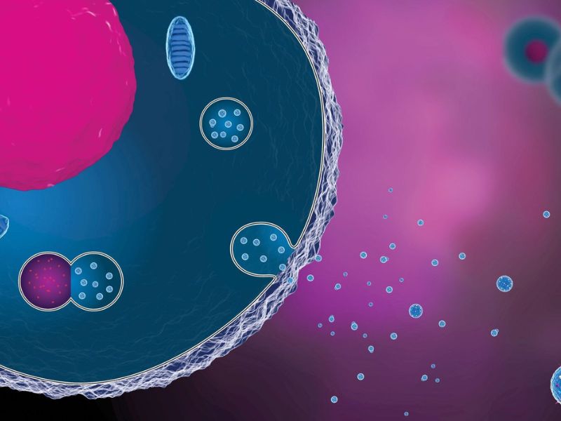 Tìm hiểu về Exosome