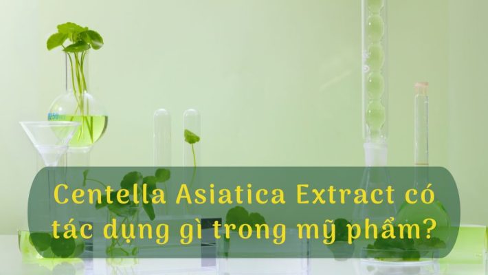 Centella Asiatica Extract có tác dụng gì trong mỹ phẩm?