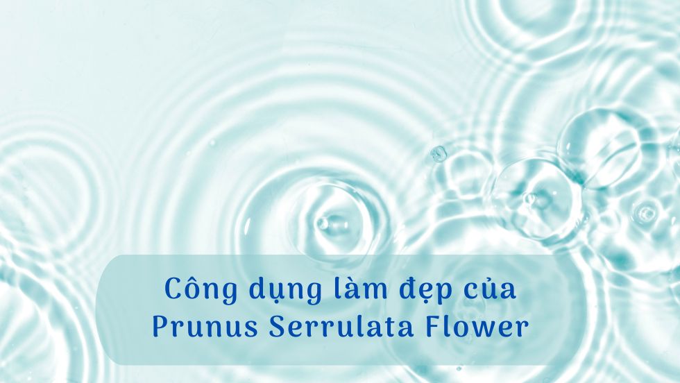 Công dụng làm đẹp của Niacinamide