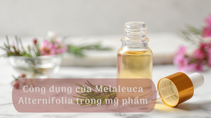 Công dụng của Melaleuca Alternifolia trong mỹ phẩm