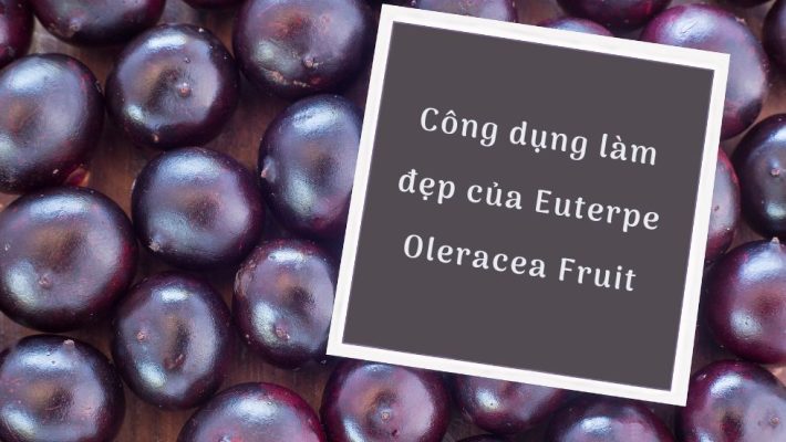 Công dụng làm đẹp của Euterpe Oleracea Fruit