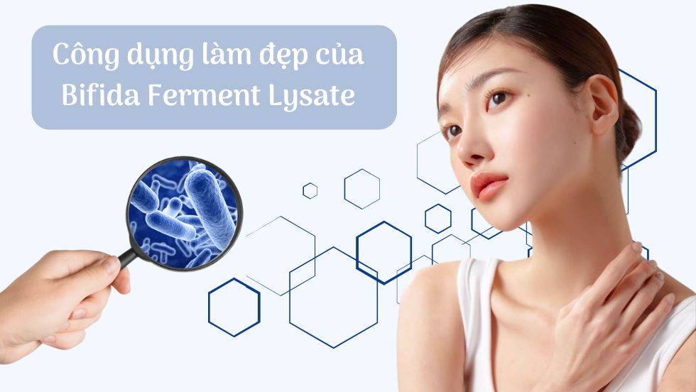 Công dụng làm đẹp của Bifida Ferment Lysate