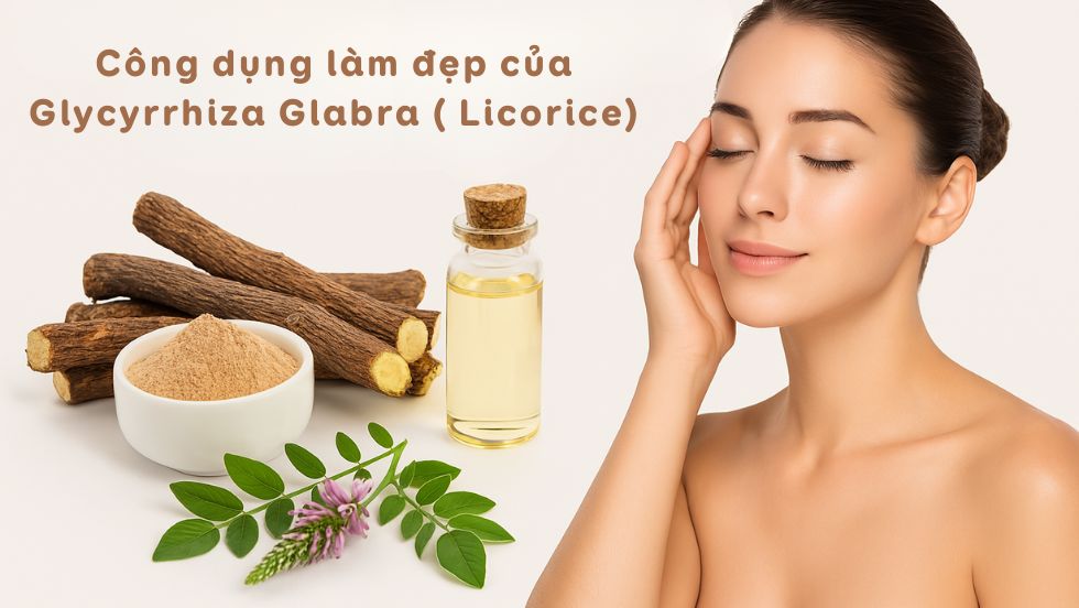 Công dụng làm đẹp của Glycyrrhiza Glabra ( Licorice)