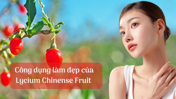 Công dụng làm đẹp của Lycium Chinense Fruit