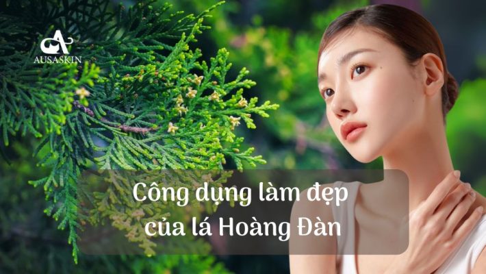 Công dụng làm đẹp của lá Hoàng Đàn