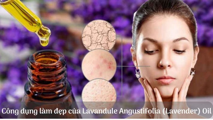công dụng làm đẹp của Lavandule Angustifolia (Lavender) Oil