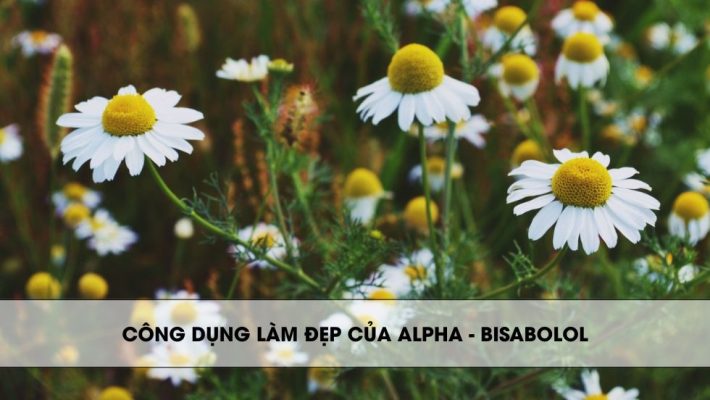 Công dụng làm đẹp của Alpha - Bisabolol