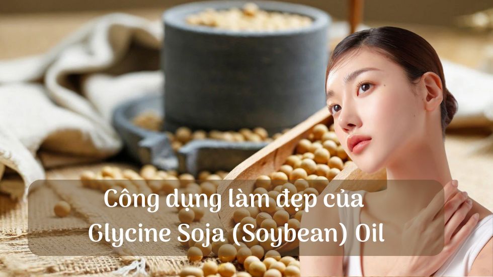 Công dụng làm đẹp của Glycine Soja (Soybean) Oil