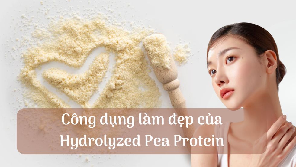 Công dụng làm đẹp của Hydrolyzed Pea Protein