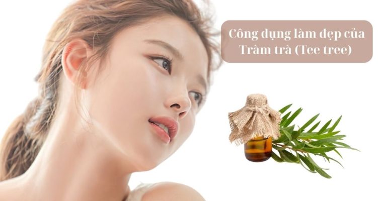 công dụng làm đẹp của Tràm Trà (Tea Tree)