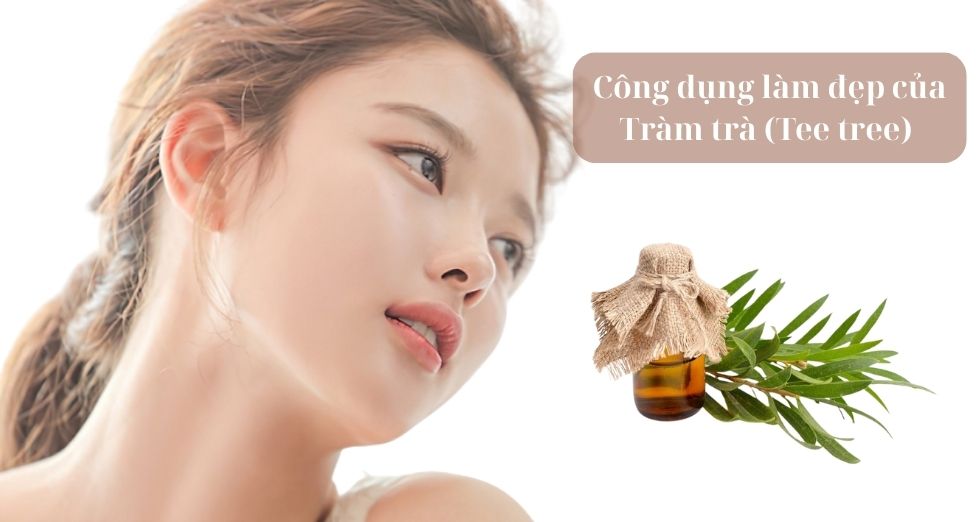 công dụng làm đẹp của Tràm Trà (Tea Tree)