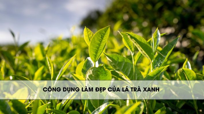 Công dụng làm đẹp của lá trà xanh