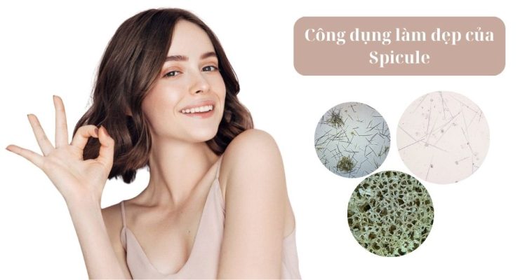 công dụng làm đẹp của Spicus