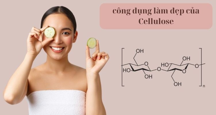 công dụng làm đẹp của Cellulose
