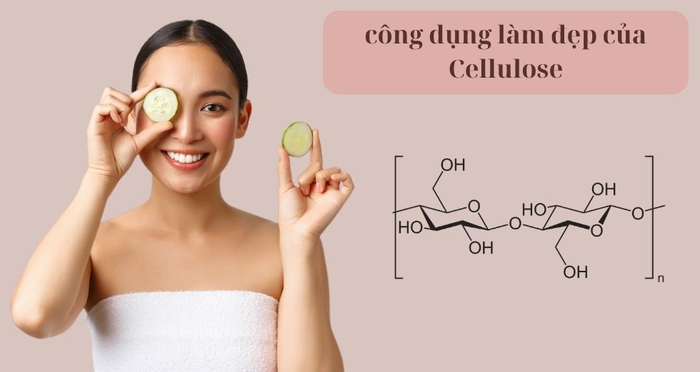 công dụng làm đẹp của Cellulose