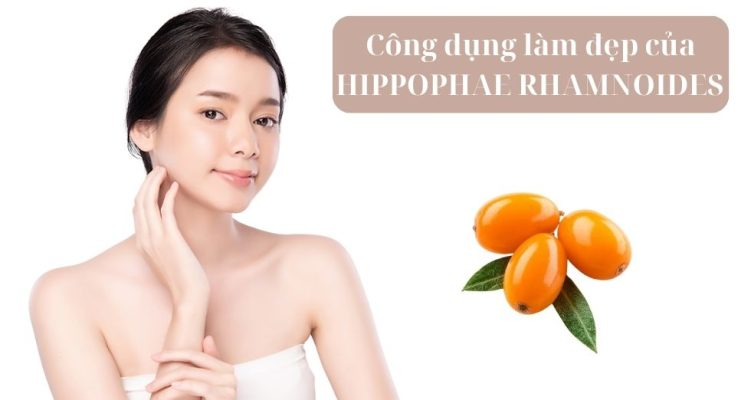 công dụng làm đẹp của HIPPOPHAE RHAMNOIDES